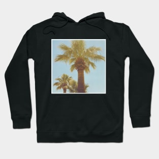 Pretty picture of a Palm Tree. Pretty Palm Trees Photography design with blue sky Hoodie